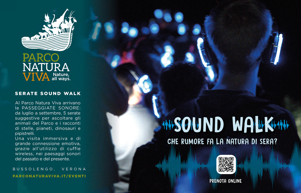 mezza-pag-sound-walk.jpg
