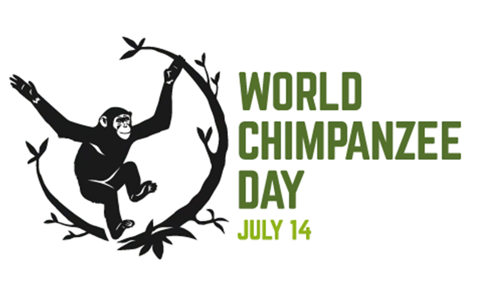world-chimp-day.jpg